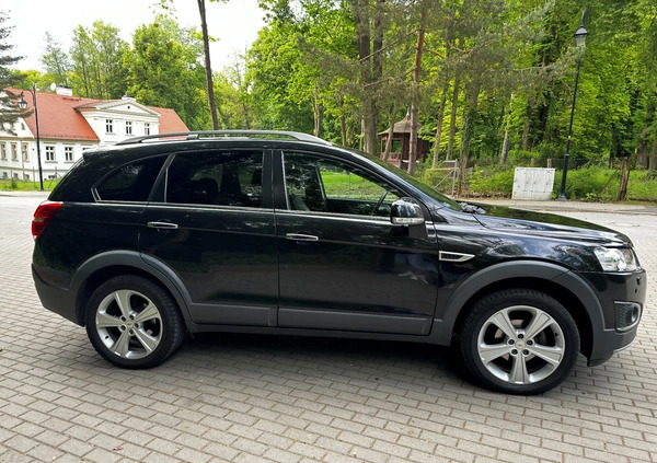 Chevrolet Captiva cena 39900 przebieg: 204000, rok produkcji 2013 z Łeba małe 254